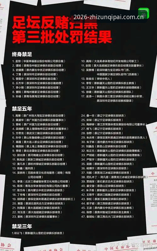 中国足协第三批禁足名单深度解析：足球行业整顿完整指南